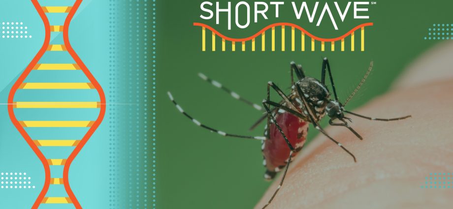 climate-change-could-be-great-for-mosquitoes