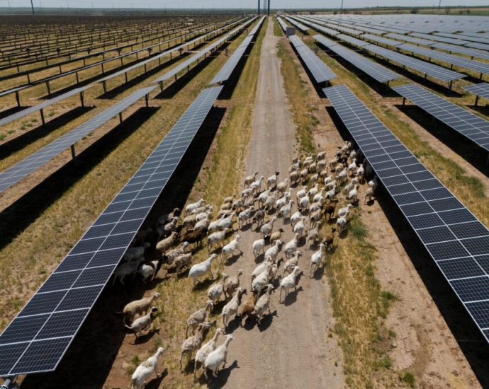 texas’-risk-of-summer-blackouts-reduced-thanks-to-solar-and-batteries