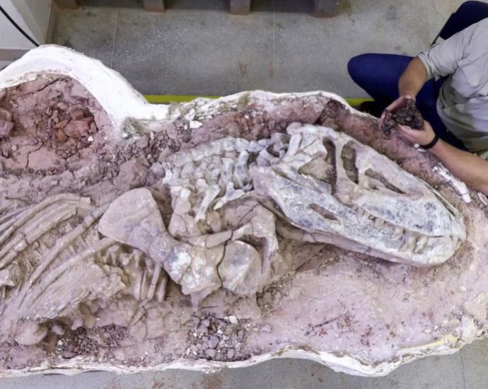 9,000-year-old-rock-sketches-proves-early-humans-knew-all-about-dinosaurs