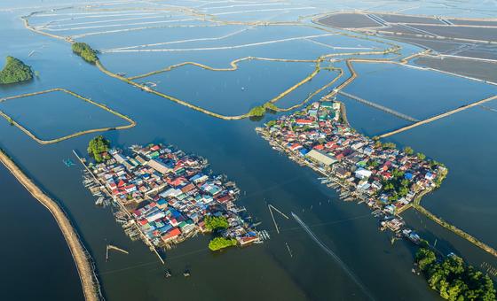 tide-of-change-in-philippines-as-women-revive-watersheds-and-livelihoods