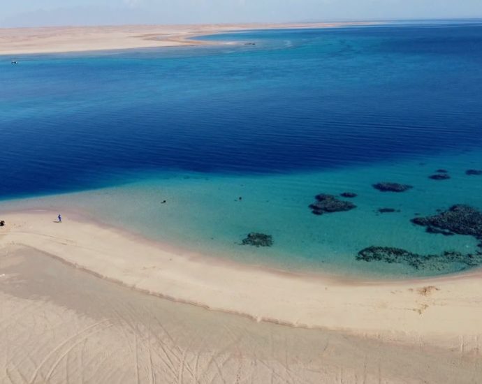 deep-sea-discovery-where-‘moses-parted-red-sea’-could-change-what-we-know-about-life-on-earth