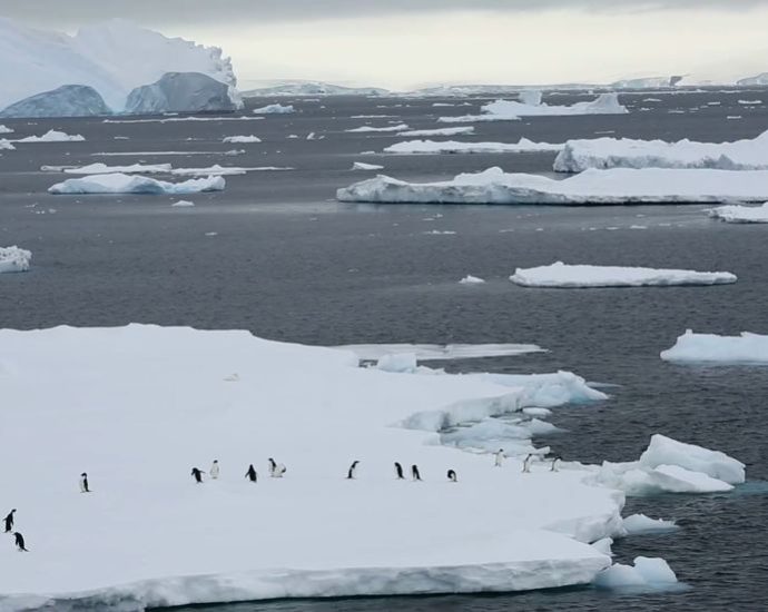 bizarre-signals-are-coming-from-the-ice-in-antarctica-and-scientists-can’t-explain-why