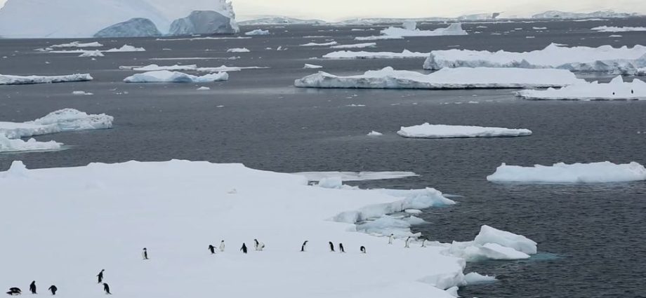 bizarre-signals-are-coming-from-the-ice-in-antarctica-and-scientists-can’t-explain-why