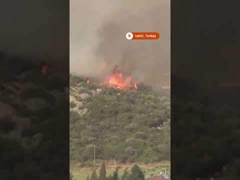 authorities-struggle-to-contain-wildfires-in-western-turkey-|-reuters