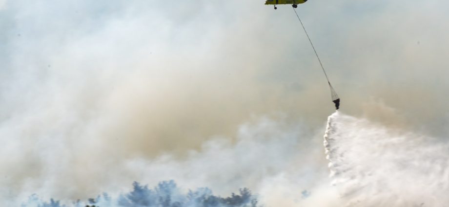 wildfires-fanned-by-strong-winds-scorch-turkiye’s-izmir