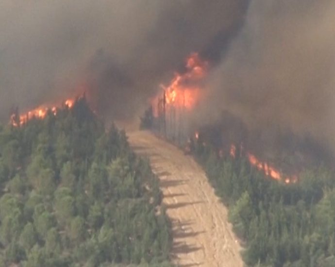 video:-over-1,000-firefighters-tackle-wildfires-in-turkiye’s-izmir