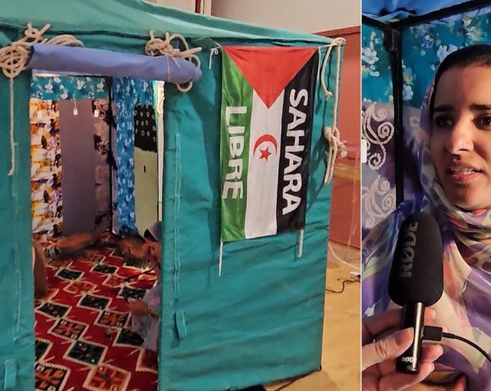 freedom-for-western-sahara:-sahrawis-demand-end-of-moroccan-occupation-at-un.-human-rights-council