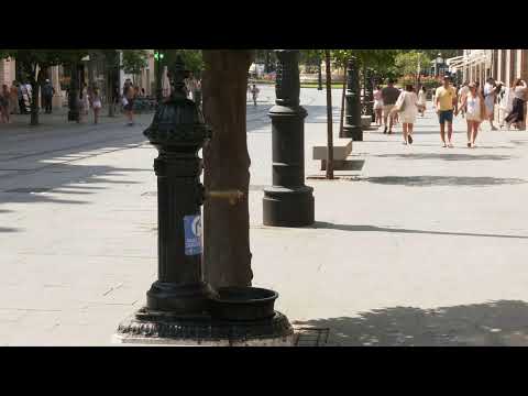 live:-tourists-and-locals-battle-heatwave-in-seville
