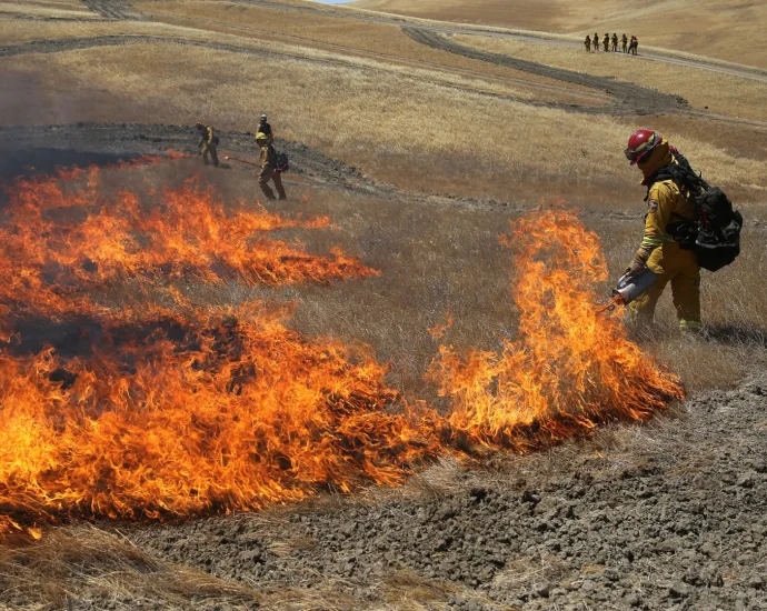 fighting-fire-with-fire:-how-prescribed-burns-reduce-wildfire-damage-and-pollution