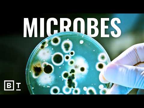 what-earth’s-undefeatable-organisms-reveal-about-survival