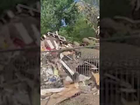 a-man’s-home-is-destroyed-by-an-enormous-tree-in-pointe-calumet,-que.