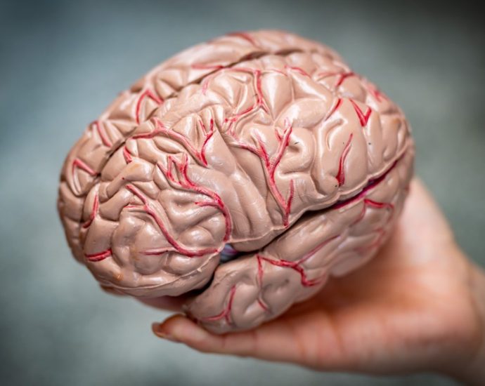 new-brain-implants-poised-to-help-people-with-disabilities