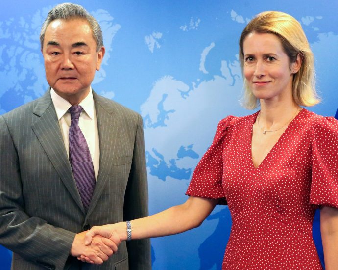 eu-presses-china-over-exports-of-rare-earth-elements-and-ukraine-war