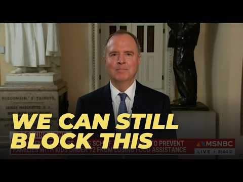 schiff-goes-live-on-msnbc-to-blast-republicans’-midnight-effort-to-pass-“big-ugly-bill”