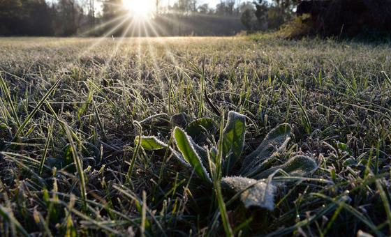 chile-and-argentina-among-coldest-places-on-earth-as-polar-anticyclone-grips-region