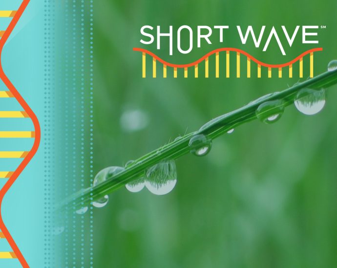 need-a-better-way-to-check-the-weather-this-summer?-try-the-dew-point