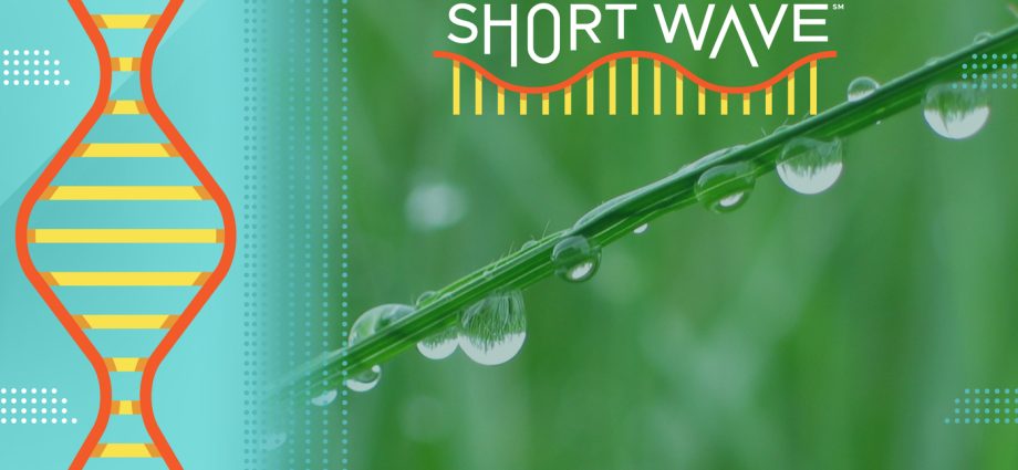 need-a-better-way-to-check-the-weather-this-summer?-try-the-dew-point