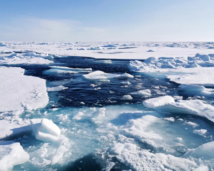 scientists-thought-the-arctic-was-sealed-in-ice-—-they-were-wrong