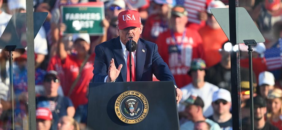 the-traitor-defends-slur,-pitches-ufc-at-white-house-for-250th-anniversary