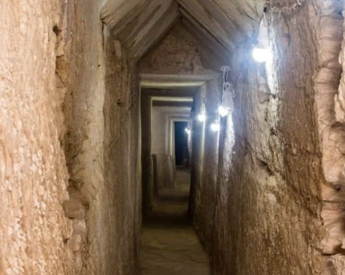 archaeologists-discover-‘miracle’-in-ancient-egyptian-tomb