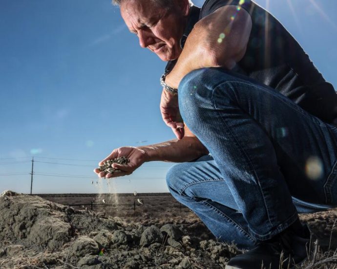 ‘water-brings-life’:-plans-to-revive-tulare-lake-take-shape-in-the-san-joaquin-valley