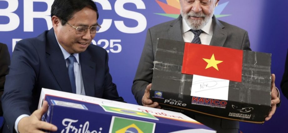 brazil-hosts-brics-summit;-russia’s-putin,-china’s-xi-skip-rio-trip