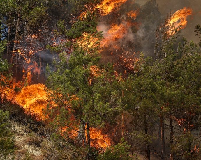 emergency-workers-battle-wildfires-in-syria