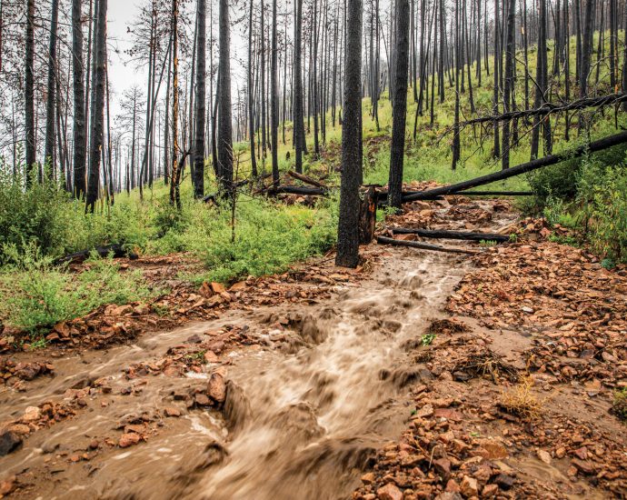 first-came-the-record-setting-fire-then-came-the-record-setting-floods.