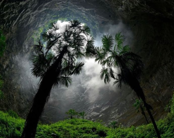 giant-sinkholes-discovered-containing-untouched-ancient-forests