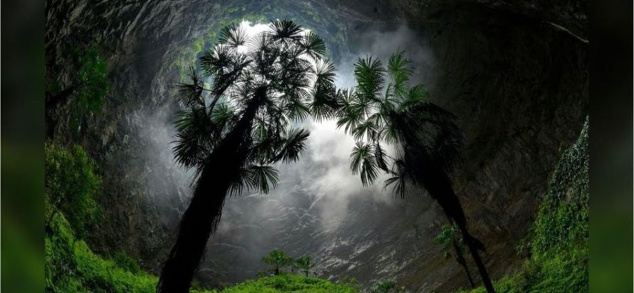 giant-sinkholes-discovered-containing-untouched-ancient-forests