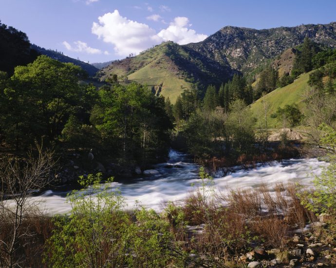 drax-wood-pellet-plans-axed-in-california