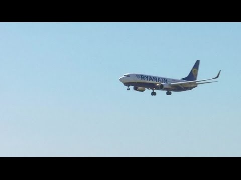 ryanair-sees-strong-summer-despite-heatwave,-ceo-says-|-reuters