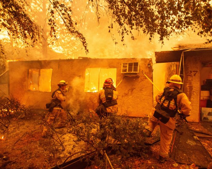 ai-can-help-limit-the-spread-of-misinformation-during-natural-disaster,-study-finds