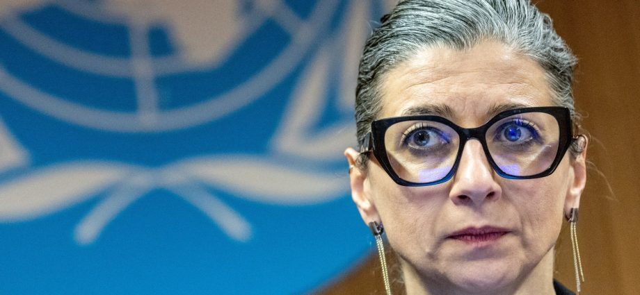 us-sanctions-un-expert-albanese-over-israel-criticism