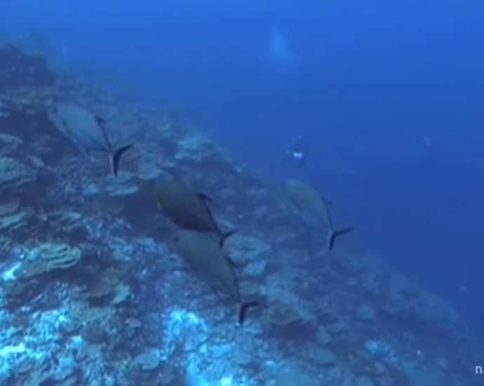incredible-footage-of-‘hollow-island’-in-middle-of-ocean-shared-by-divers