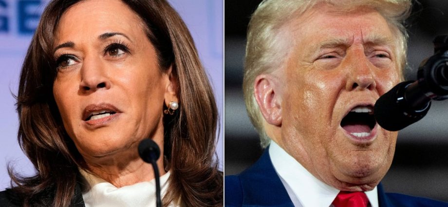 traitor-47’s-unorthodox-concession-call-from-kamala-harris-revealed-in-new-book