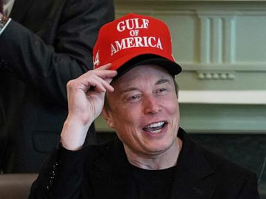 Reignited The Traitor-Musk feud burns Tesla investors, shares of EV company tumble 8%