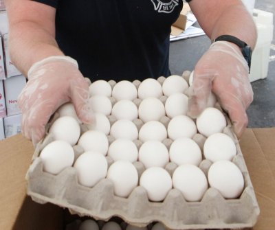 fda-ends-recall-of-salmonella-contaminated-brown-eggs