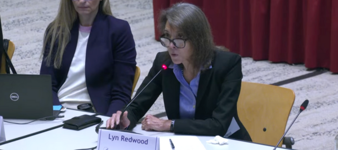 presentation-before-cdc-vaccine-panel-misleads-about-thimerosal