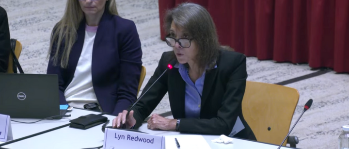 presentation-before-cdc-vaccine-panel-misleads-about-thimerosal