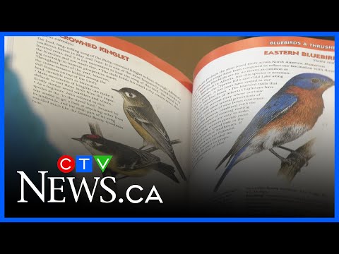 library-pairing-of-reading-and-bird-watching-proving-popular