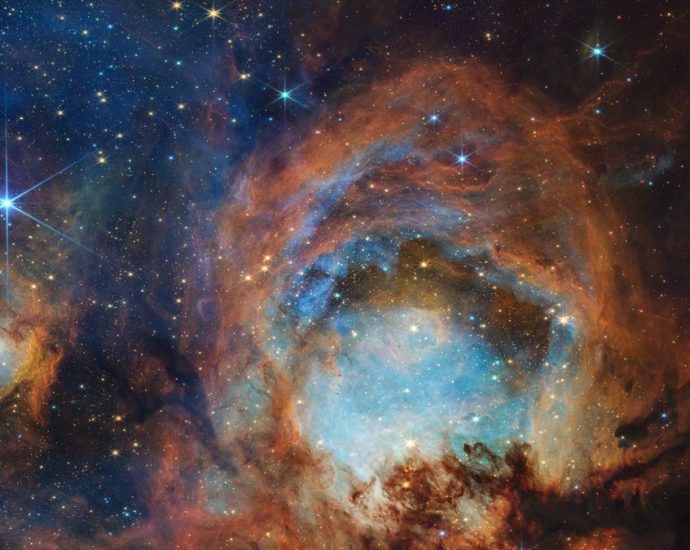 James Webb Space Telescope celebrates 3 years of science with dazzling ‘toe beans’ image of Cat’s Paw Nebula