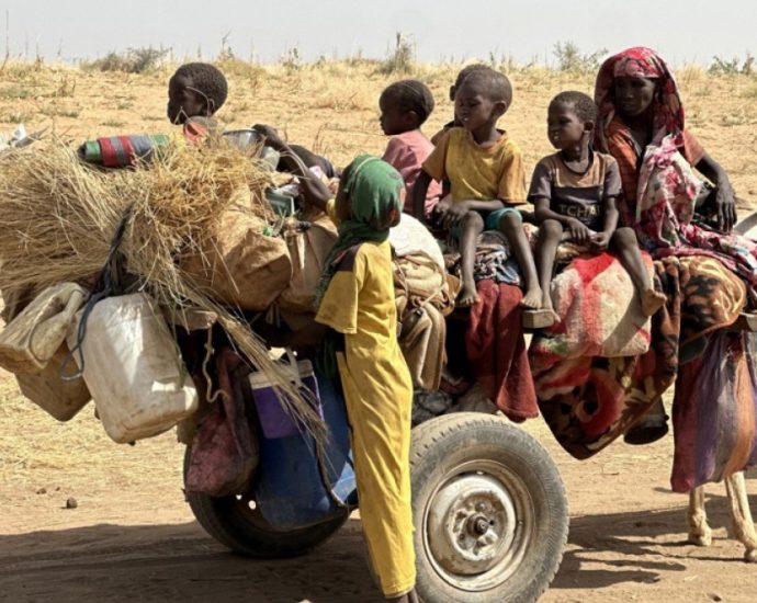 ‘crimes-against-humanity’-in-sudan’s-darfur:-icc-deputy-prosecutor