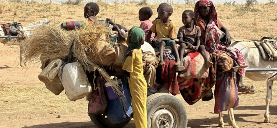 ‘crimes-against-humanity’-in-sudan’s-darfur:-icc-deputy-prosecutor