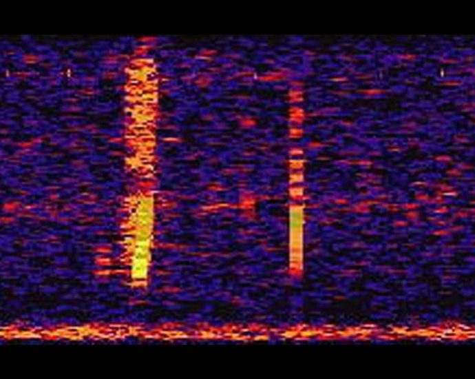 ‘loudest-underwater-sound-ever-recorded’-heard-in-earth’s-most-remote-location