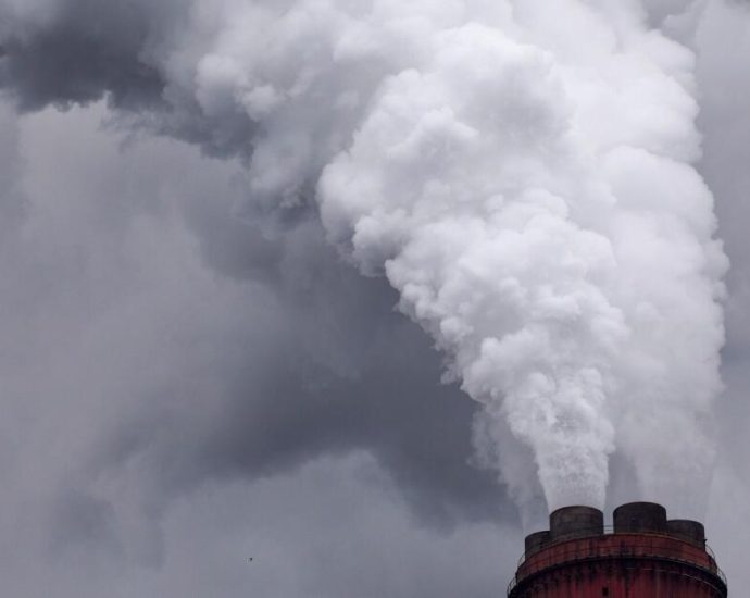 auditors-fail-in-role-of-safeguarding-carbon-offsets