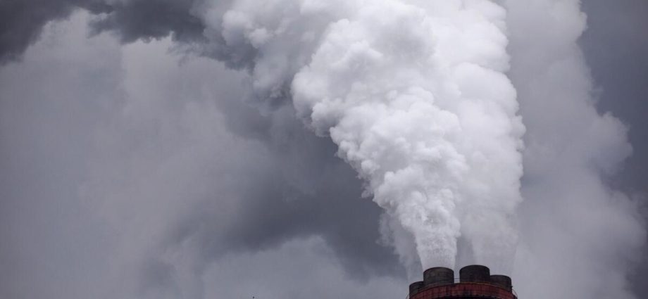 auditors-fail-in-role-of-safeguarding-carbon-offsets