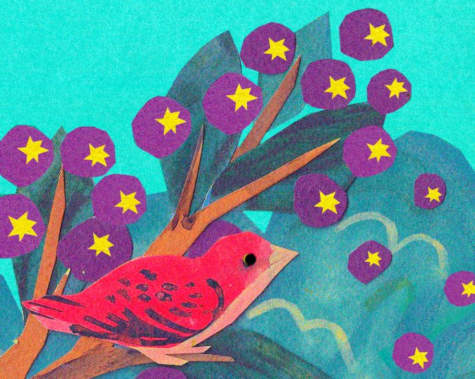 in-stressful-times,-what-do-the-plants-and-animals-have-to-say?
