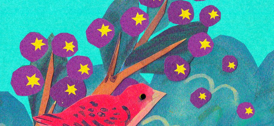 in-stressful-times,-what-do-the-plants-and-animals-have-to-say?