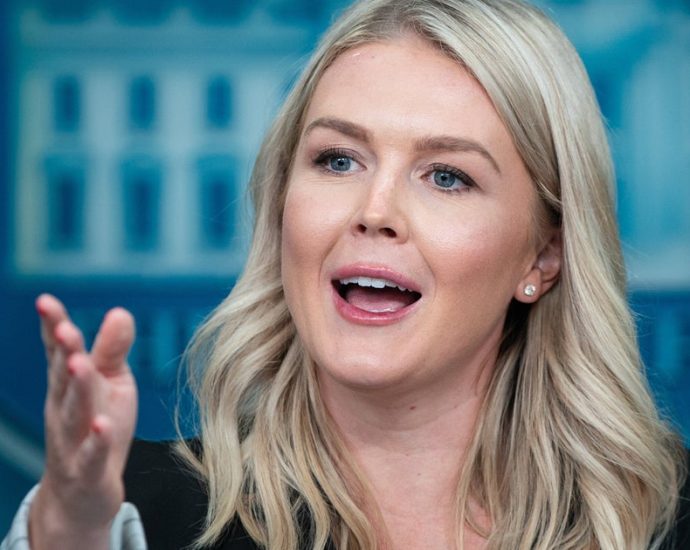karoline-leavitt’s ‘delusional-and-absurd’-new-the-traitor-claim-mocked-by-left-and-right